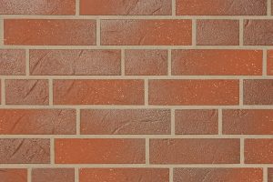 Rotbunt Struktur Besandet